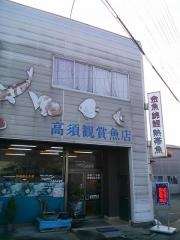 高須観賞魚店