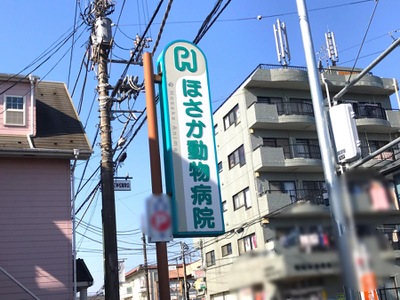 ドッグメディカル ほさか動物病院 相模原市緑区二本松