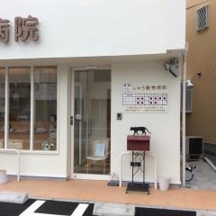 しゅう動物病院