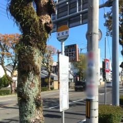 「東宝町」バス停留所