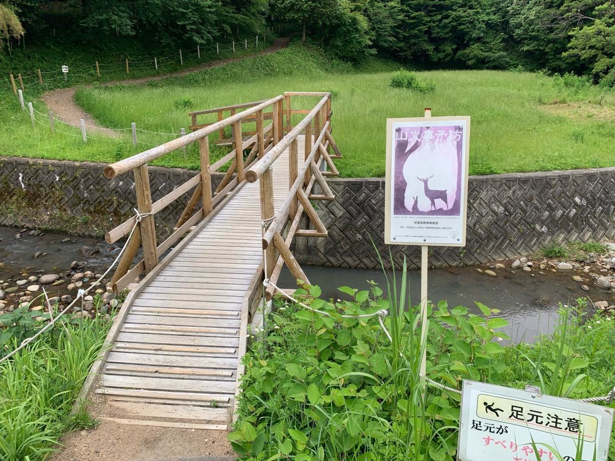 自然公園の橋