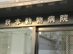 秋本動物病院