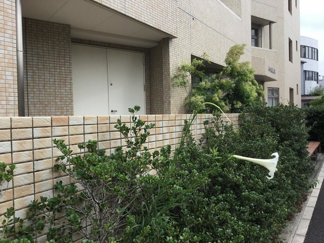 特別養護老人ホーム　内田橋清凉苑 施設外観