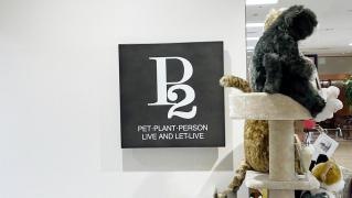 Ｐ2　ＤＯＧ&ＣＡＴ　小倉井筒屋店