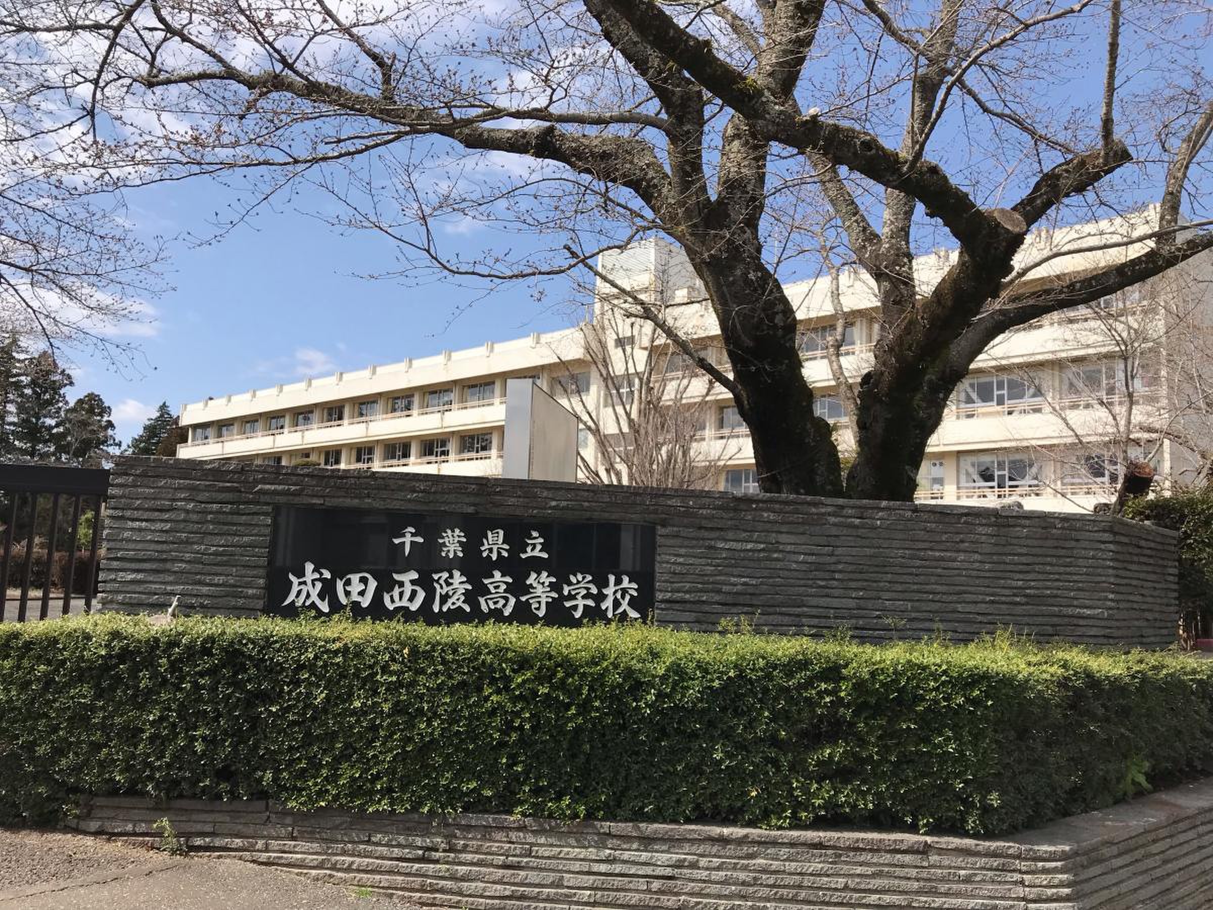 千葉 県立 成田 西陵 高等 学校