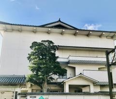 桜町小学校