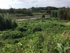 犬上川緑地
