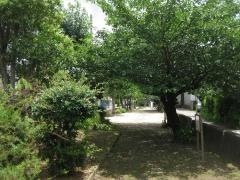 大門川緑地