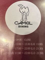 ＣＡＭＥＬＤＩＮＩＮＧ