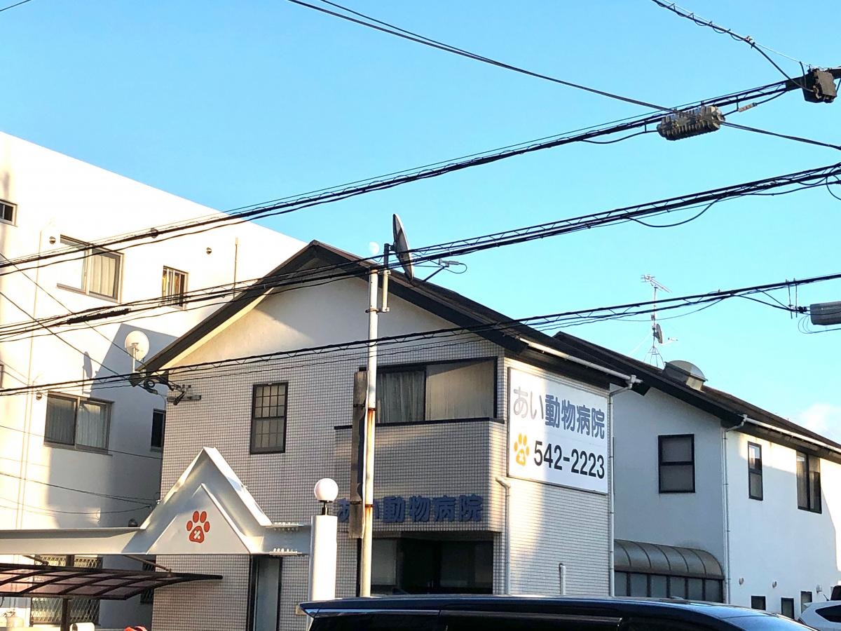 あい動物病院