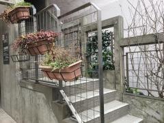 石橋歯科医院