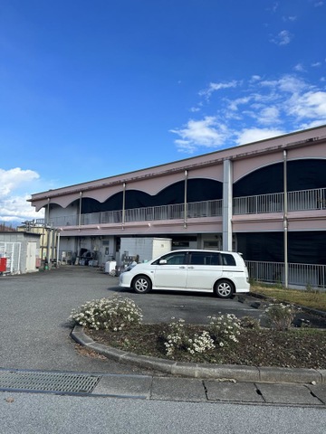 コスモ