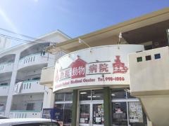 赤瓦動物病院