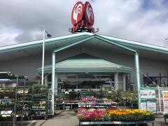 コメリハード＆グリーン　宇都宮山本店