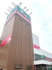 島忠海老名店
