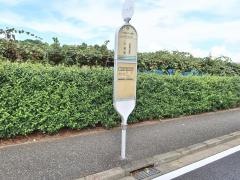 「江戸東京たてもの園前」バス停留所