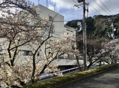 熱海市役所南熱海支所