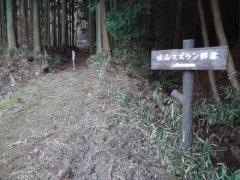 吐山スズラン群落