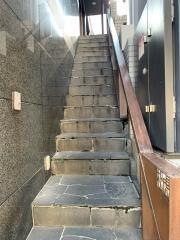 松虎