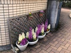 永井小児科医院