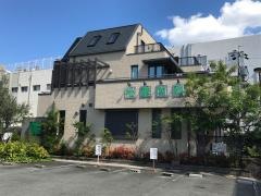 松葉内科