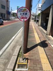 「小笠原」バス停留所