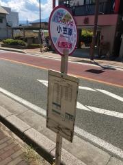 「小笠原」バス停留所