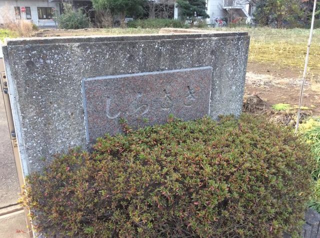 しらさぎ
