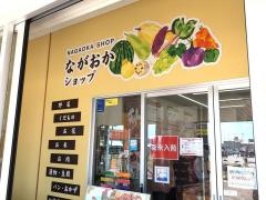 道の駅　ながおか花火館