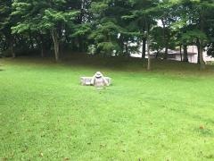 ぎんどろ公園