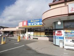 ココカラファイン・くすりセイジョー　栃木烏山店