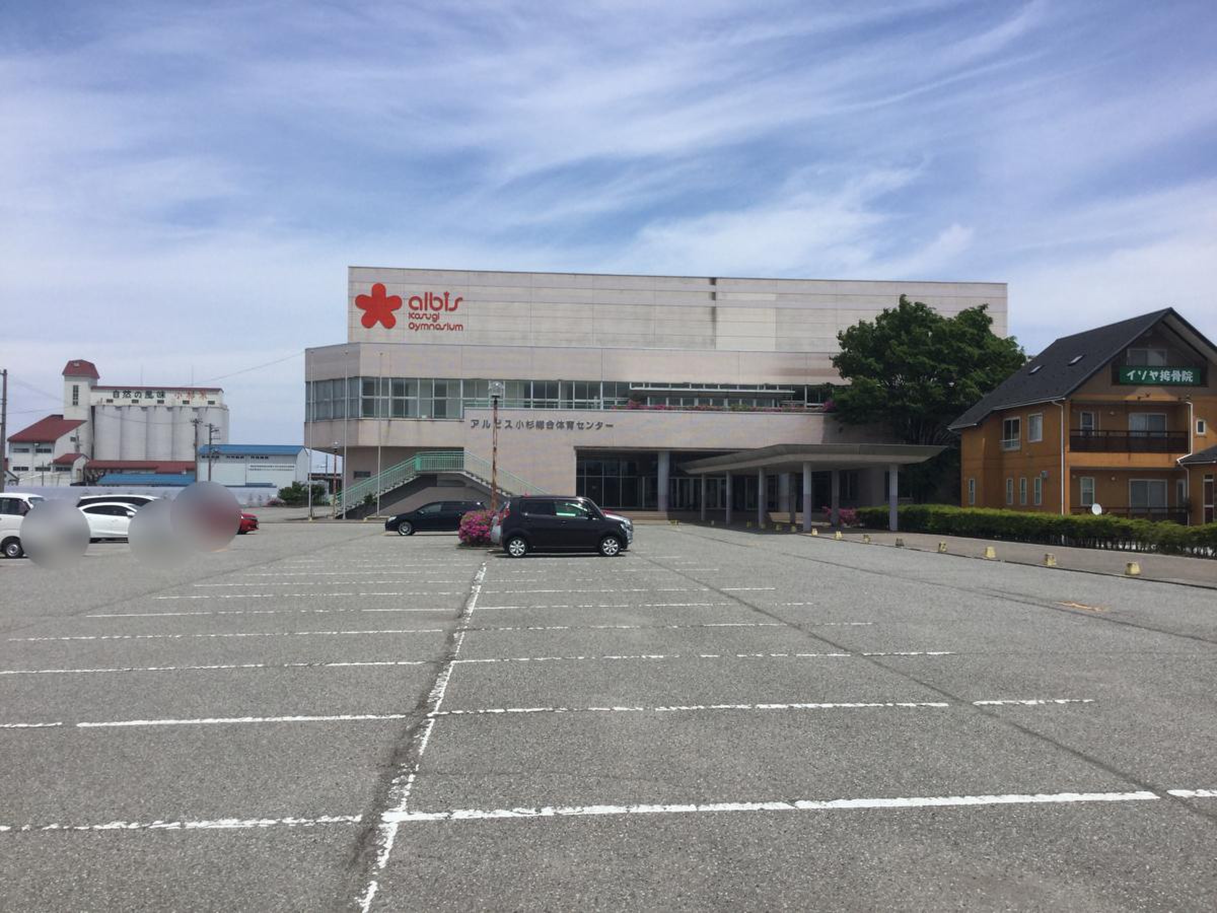 アルビス 小杉 総合 体育 センター
