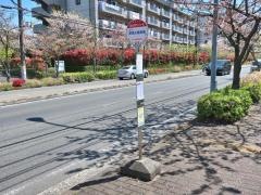 「久里浜行政センター前」バス停留所
