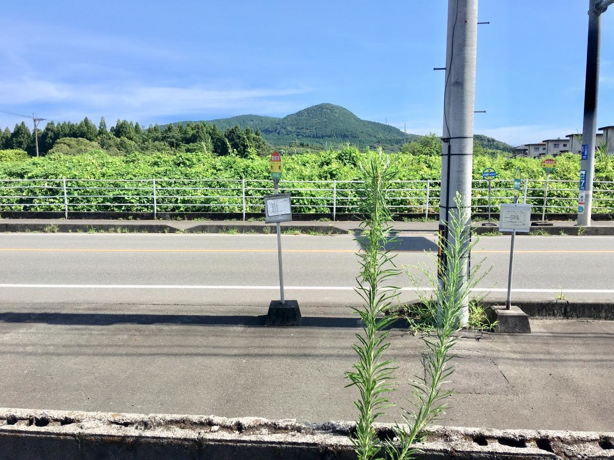 今村バス停留所