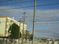 木太南小学校