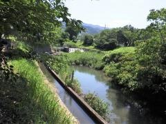 赤坂緑道