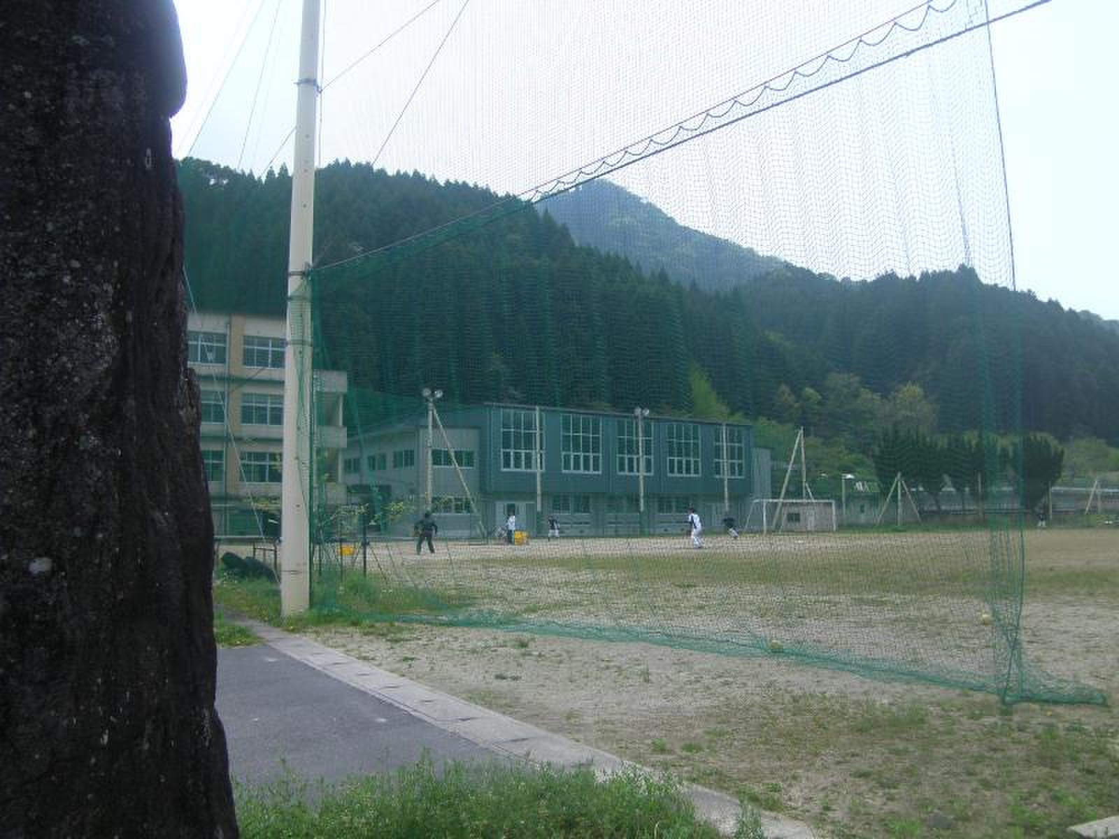 大分 県立 中 津南 高等 学校
