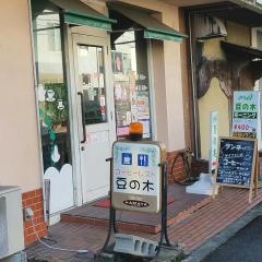 コーヒーレスト豆の木