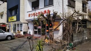 柴犬専門店　まつもと