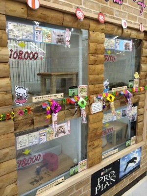 マーケットピア ペットプラザ鎌倉大船店