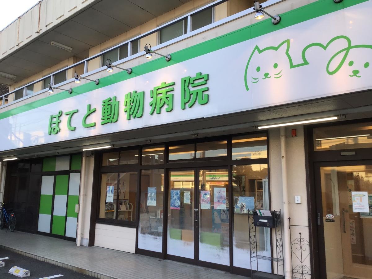 ぽてと動物病院