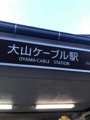 大山観光電鉄株式会社
