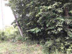 中山台3号緑地