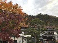 渓流の宿渓山
