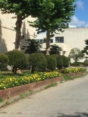 宮和田小学校
