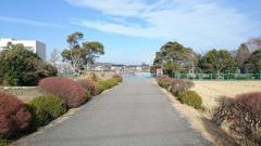 貞元小学校