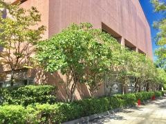 鹿浜地域体育館