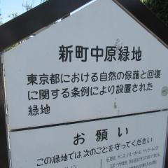 新町中原緑地