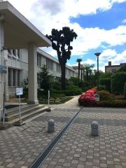 ノートルダム清心女子大学附属幼稚園
