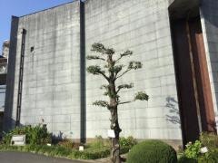 鹿島市民会館